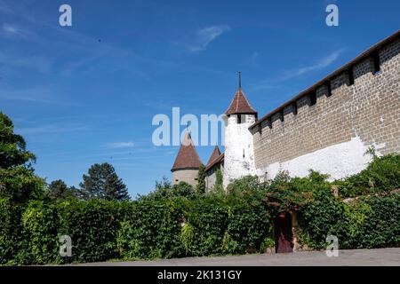 Schweiz, Schweiz, Freiburg, Freiburg, Kanton Freiburg, Kanton Freiburg, Morat, Murten, ville, Stadt, Stadt, Stadt, Vielle ville, Altstadt Stockfoto