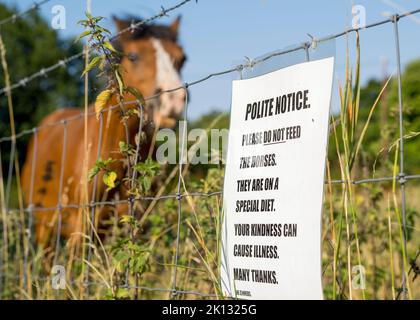 Höfliches Hinweisschild, füttern Sie nicht die Pferde, die auf einem Drahtzaun außerhalb eines Paddock-Bereichs platziert sind, wo Sie ein Pferd sehen können. Stockfoto