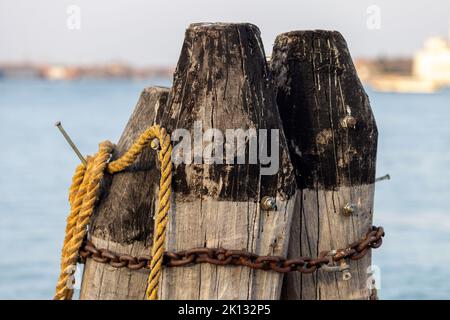 Holzsäulen mit altem Seil und Kette im Meer am Dock von Venedig. Große Holzstämme, Wellenbrecher in Venezia, Italien Stockfoto