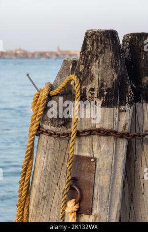 Holzsäulen mit altem Seil und Kette im Meer am Dock von Venedig. Große Holzstämme, Wellenbrecher in Venezia, Italien Stockfoto