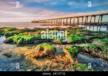 Point Lonsdale Jetty, am Eingang zur Port Philip Bay und zum Rip, Bellarine Peninsula, Victoria, Australien Stockfoto