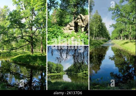 Der wunderschöne und üppige Park, der den Katharinepalast umgibt, befindet sich in der Stadt Tsarskoye Selo (Puschkin), St. Petersburg, Russland Stockfoto