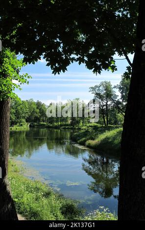 Der wunderschöne und üppige Park, der den Katharinepalast umgibt, befindet sich in der Stadt Tsarskoye Selo (Puschkin), St. Petersburg, Russland Stockfoto