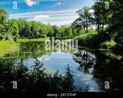 Der wunderschöne und üppige Park, der den Katharinepalast umgibt, befindet sich in der Stadt Tsarskoye Selo (Puschkin), St. Petersburg, Russland Stockfoto