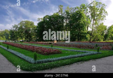 Der wunderschöne und üppige Park, der den Katharinepalast umgibt, befindet sich in der Stadt Tsarskoye Selo (Puschkin), St. Petersburg, Russland Stockfoto