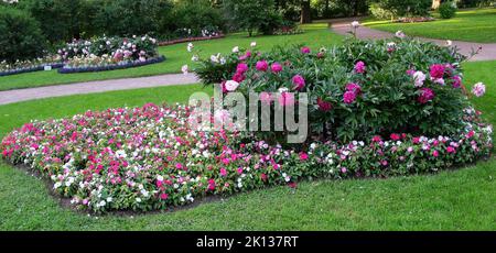 Der wunderschöne und üppige Park, der den Katharinepalast umgibt, befindet sich in der Stadt Tsarskoye Selo (Puschkin), St. Petersburg, Russland Stockfoto