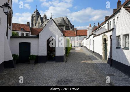 St. Elisabeth Beguinage, UNESCO-Weltkulturerbe, Kortrijk, Flandern, Belgien, Europa Stockfoto