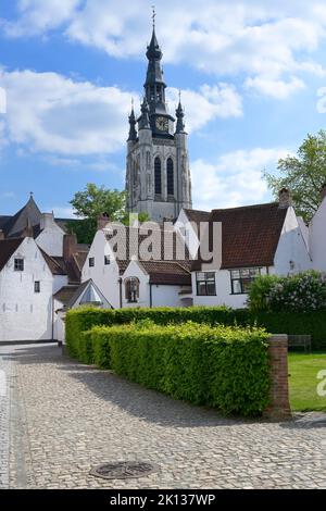 Blick auf die St. Martins Kirche von der St. Elisabeth Beguinage, Kortrijk, Flandern, Belgien, Europa Stockfoto