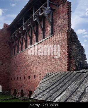 Die majestätische mittelalterliche Burg von Turaida, Sommerlandschaft. Nationalpark Gauja, Sigulda, Lettland (12) Stockfoto