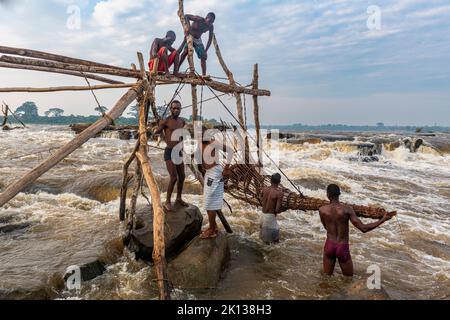 Indigene Fischer aus dem Stamm Wagenya, Kongo, Kisangani, Demokratische Republik Kongo, Afrika Stockfoto