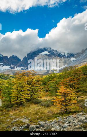 Berge rund um Valle Frances (Valle del Frances) im Herbst, Nationalpark Torres del Paine, Patagonien, Chile, Südamerika Stockfoto