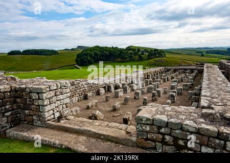 Housesteads Roman Fort, Vercovicium, AD 124, Kornkammer mit Fußbodenheizung, Hadrian Wall Stockfoto