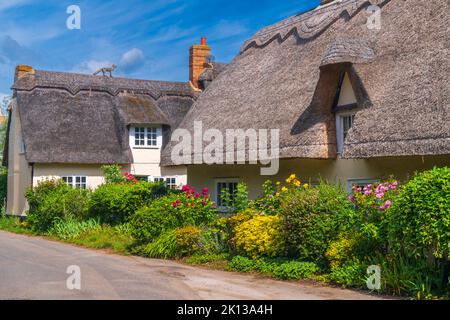 Traditionelles Reethaus, Wennington, Cambridgeshire, England, Vereinigtes Königreich, Europa Stockfoto