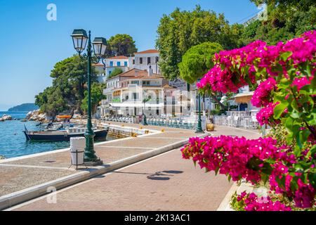 Blick auf Belvedere Skiathos Alter Hafen und Skiathos Stadt, Skiathos Insel, Sporaden Inseln, griechische Inseln, Griechenland, Europa Stockfoto