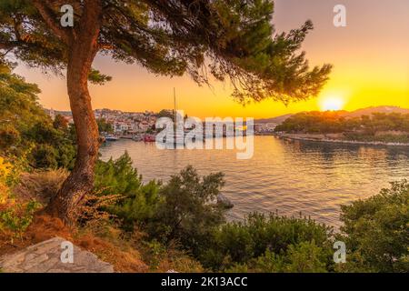 Blick auf Belvedere Skiathos Alter Hafen von erhöhter Position bei Sonnenaufgang in Skiathos Stadt, Skiathos Insel, Sporaden Inseln, griechische Inseln, Griechenland Stockfoto