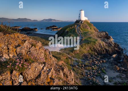 TWR Mawr Leuchtturm auf Llanddwyn Island, unterstützt von der Lleyn Halbinsel, in der Nähe von Newborough, Anglesey, North Wales, Vereinigtes Königreich, Europa Stockfoto