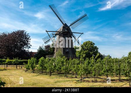 Deutschland, Coesfeld, Coesfeld-Lette, Berkel, Baumberge, Münsterland, Westfalen, Nordrhein-Westfalen, NRW, Buchstabe Windmühle, Kappenwindmühle, Turm Stockfoto