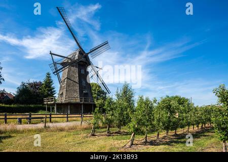 Deutschland, Coesfeld, Coesfeld-Lette, Berkel, Baumberge, Münsterland, Westfalen, Nordrhein-Westfalen, NRW, Buchstabe Windmühle, Kappenwindmühle, Turm Stockfoto