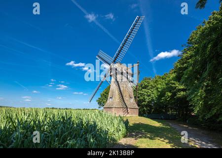 Deutschland, Ahaus, Westmuensterland, Münsterland, Westfalen, Nordrhein-Westfalen, NRW, Ahaus-Wuellen, Quantwicker Mühle, Windmühle, Hollaendermueh Stockfoto