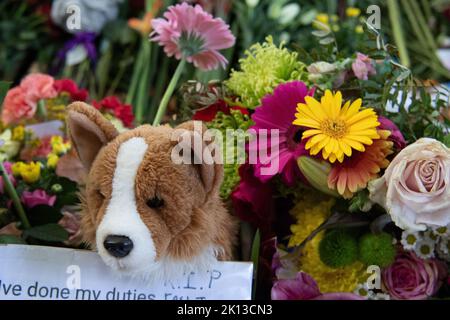 Green Park, London, Großbritannien. 14.. September 2022. Tausende von Trauernden kamen heute, um die spektakulären Blumenausstellungen zu sehen. Nach dem traurigen Tod Ihrer Majestät der Königin wurden im Green Park in der Nähe des Buckingham Palace wunderschöne Blumengebete von Trauernden hinterlassen. Die Blumen, die vor den Toren des Buckingham Palace zurückgelassen wurden, wurden ebenfalls dorthin gebracht. Quelle: Maureen McLean/Alamy Live News Stockfoto