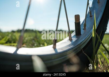 Nahaufnahme eines Nippels ohne Kappe auf einem Fahrradrad, auf einer Wiese, vor dem Hintergrund des Himmels und der Sonne. Reifenpanne. Stockfoto