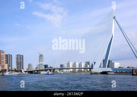 Erasmusburg Erasmus Bridge, Rotterdam, Niederlande Stockfoto