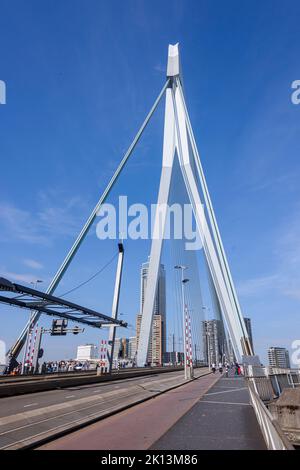 Erasmusburg Erasmus Bridge, Rotterdam, Niederlande Stockfoto