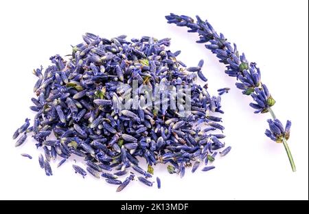 Haufen von Lavendelblüten Knospen Nahaufnahme isoliert auf weißem Hintergrund. Draufsicht. Stockfoto