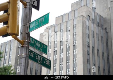 bayard Street grünes Schild unter starkem Regen in chinatown New york City manhattan Stockfoto