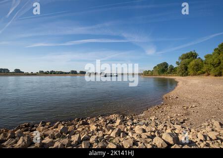 Meerbusch - Blick auf zwei Airport-Brücken, wo es im letzten Monat wegen der Verbrennung von Pflanzen nicht geregnet hat, Nordrhein-Westfalen, deutschland, 21.08.2022 Stockfoto