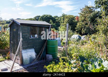 Ein Gartenschuppen auf einer gemeinderatszuteilung in Crouch End, Haringey, London, Großbritannien Stockfoto