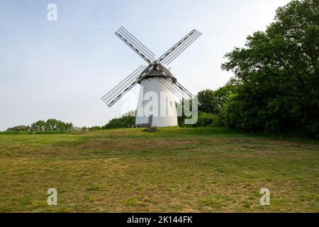 Krefeld-Traar - Blick auf Egelsberg im Frühling, Nordrhein-Westhalia, Deutschland, 07.05.2022 Stockfoto