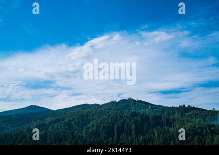 Deutschland, Schwarzwald Schwarzwald Panorama-Landschaft Blick über schöne Natur Baumkronen und Wald am frühen Morgen nach Sonnenaufgang Stockfoto