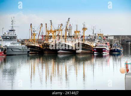 Fischerboote und ein Fischereipatrouillenboot im Hafen von Newlyn in Cornwall, Großbritannien Stockfoto