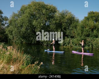 Sommer-Paddleboarding Grantchester Meadows on the River Cam in Cambridge Cambridgeshire England UK - Sommer Land Leute Paddlebarder sup Stockfoto