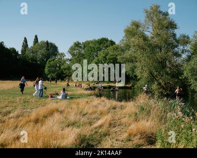 Sommerleben auf den Grantchester Meadows am Fluss Cam in Cambridge Cambridgeshire England Großbritannien - Sommerliches Picknick auf dem Land Stockfoto