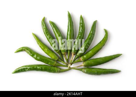 Grüne Chilis auf weißem Hintergrund angeordnet, gemeinsame Gemüse für ihren würzigen Geschmack verwendet Stockfoto