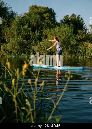 Sommer-Paddleboarding Grantchester Meadows on the River Cam in Cambridge Cambridgeshire England UK - Sommer Land Leute Paddlebarder sup Stockfoto