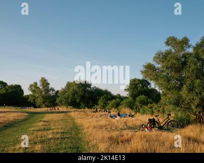 Sommerleben und Abendlicht auf den Grantchester Meadows am Fluss Cam in Cambridge Cambridgeshire England Großbritannien - Sommerliches Landleben Stockfoto