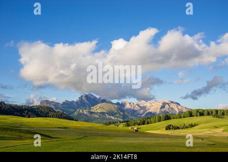 Mt. Langkofel bei Sonnenuntergang, Blick von der Seiser Alm, Dolomiten, Italien Stockfoto