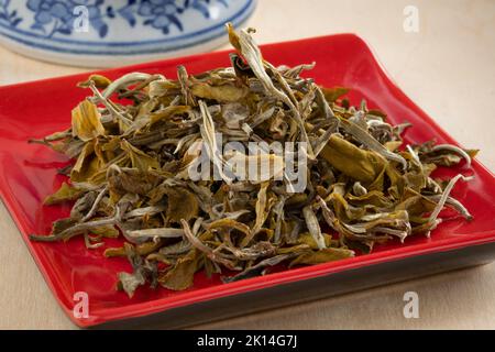 Haufen getrockneter chinesischer Schneeknospen-Teeblätter auf einem Gericht aus nächster Nähe Stockfoto