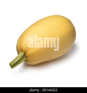 Einzelne gelbe ganze Spaghetti Squash isoliert auf weißem Hintergrund Stockfoto