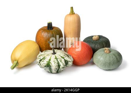 Variation von Herbstkürbissen auf weißem Hintergrund isoliert auf weißem Hintergrund Stockfoto