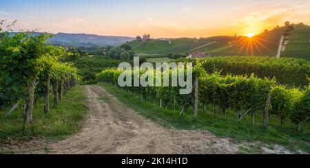 Ein wunderschöner Sonnenuntergang mit dem Schloss Grinzane im Hintergrund. Langhe Region Piemont, Cuneo, Norditalien. Stockfoto