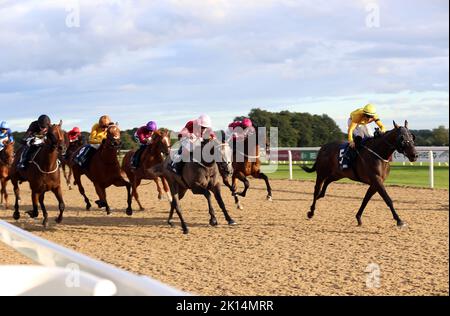 Wahrer Mut, geritten von Ray Dawson (rechts) auf dem Weg zum Gewinn des William Hill Bet Boost Racing League Race 36 während der Racing League 2022 Race Week 6 Final Meeting auf der Rennbahn von Newcastle. Bilddatum: Donnerstag, 15. September 2022. Stockfoto