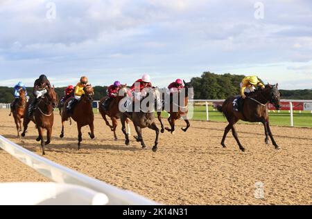 Wahrer Mut, geritten von Ray Dawson (rechts) auf dem Weg zum Gewinn des William Hill Bet Boost Racing League Race 36 während der Racing League 2022 Race Week 6 Final Meeting auf der Rennbahn von Newcastle. Bilddatum: Donnerstag, 15. September 2022. Stockfoto