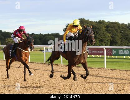 Wahrer Mut, geritten von Ray Dawson (rechts) auf dem Weg zum Gewinn des William Hill Bet Boost Racing League Race 36 während der Racing League 2022 Race Week 6 Final Meeting auf der Rennbahn von Newcastle. Bilddatum: Donnerstag, 15. September 2022. Stockfoto