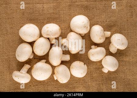 Mehrere Bio-Pilze auf Jutetuch, Nahaufnahme, Draufsicht. Stockfoto