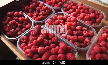 Saftige Bio-Himbeeren in Plastikschachteln in einer Schachtel. Stockfoto