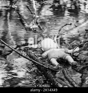 Kinderpuppe mit Blick auf einen Kanal - Spuk, Horror, Tatort. Stockfoto